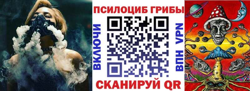 купить  цена  Тобольск  Псилоцибиновые грибы Psilocybine cubensis 